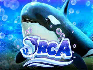 Orca
