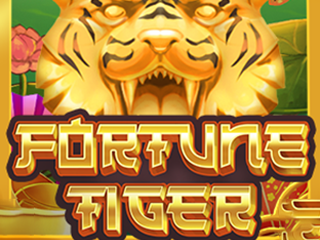 Fortune Tiger