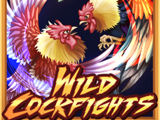 Wild Cockfights