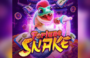 Fortune Snake