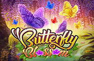 Butterfly Blossom