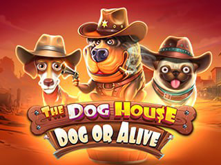 The Dog House - Dog Or Alive