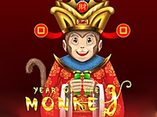 Year Of The Monkey H5