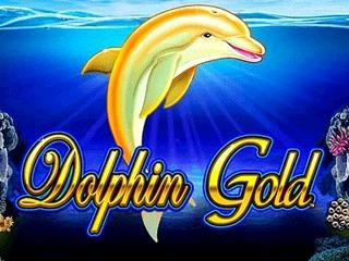 Dolphin Gold H5